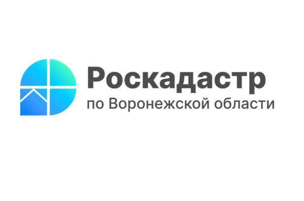 Что такое Реестр границ и какие сведения он содержит?.