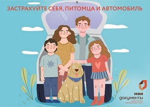 Подготовьтесь к отпуску заранее: застрахуйте себя, питомца и автомобиль.